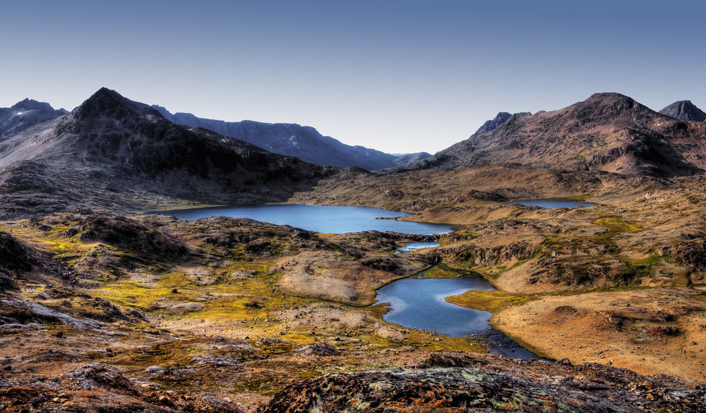 Groenland Summer Ecology Colors Greenland Isn't What You Think