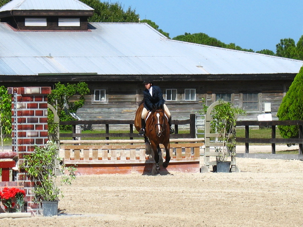 Fox Lea Farm Horse Show, Venice, Florida 11.6.2011 Flickr