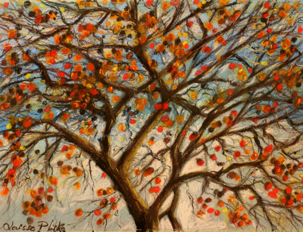 Pastel De Este Nino Se Volvio Viral Porque Parecia Un Pene