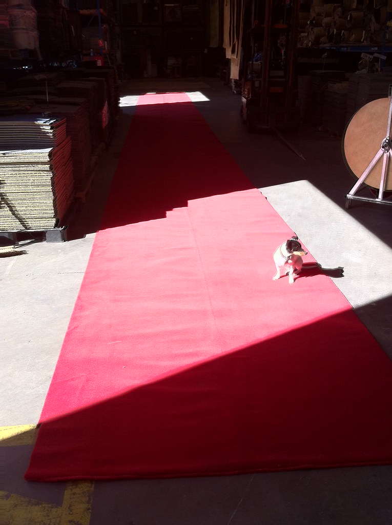 Red Carpet Runners for Hire Seriously these red carpet run… Flickr