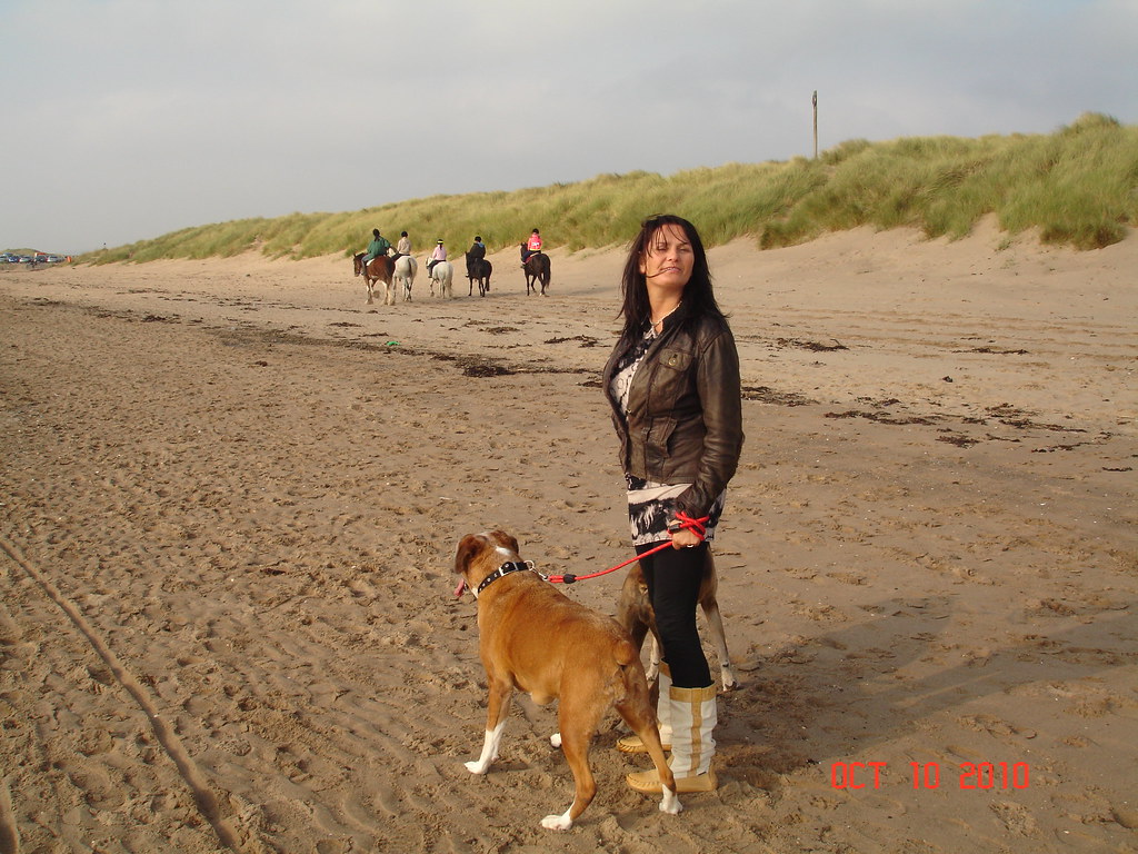 Irvine beach with the dogs 005 boghead2213 Flickr