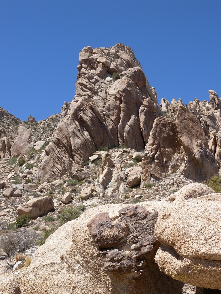 Christmas Tree Pass 10 John Reiser Flickr