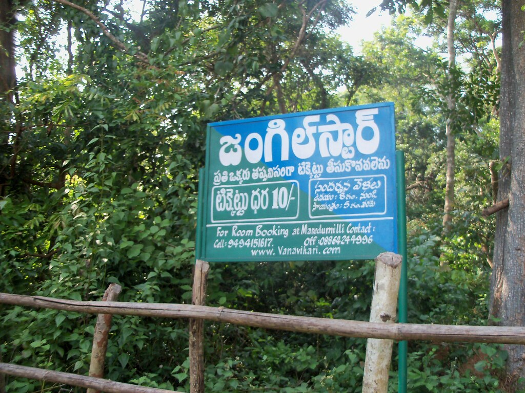 maredumilli maredumilli forest india travel india tourist places indian
