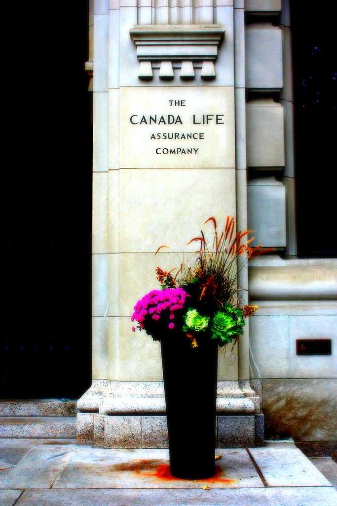 Flower Urn, Canada Life retouched Belby21 Flickr