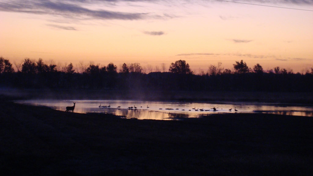 sunset at Cypress Creek NWR Cypress Creek National Wildlif… Flickr
