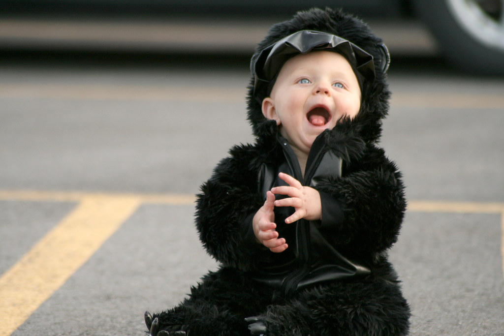 Baby Kong This little guy was dressed up as King Kong, and… Flickr
