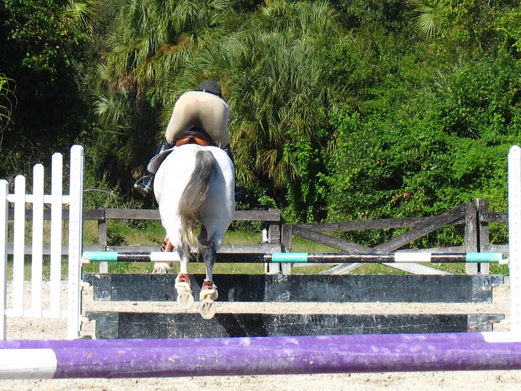 Fox Lea Farm Horse Show, Venice, Florida 11.6.2011 Flickr