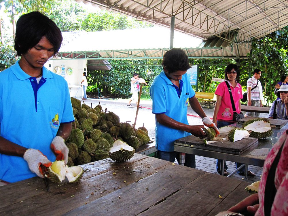 Rayong Suphattra Land Fruit Farm Sophia Flickr