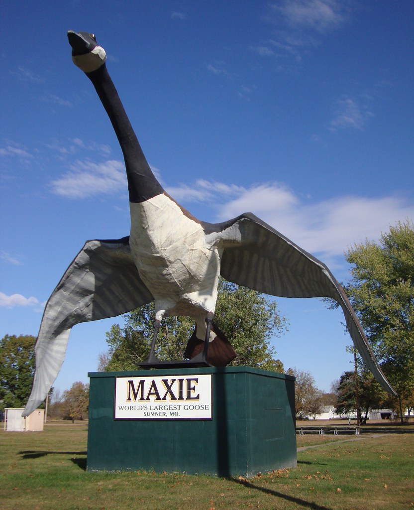 World's Largest Goose (Sumner, Missouri) Sumner is a small… Flickr