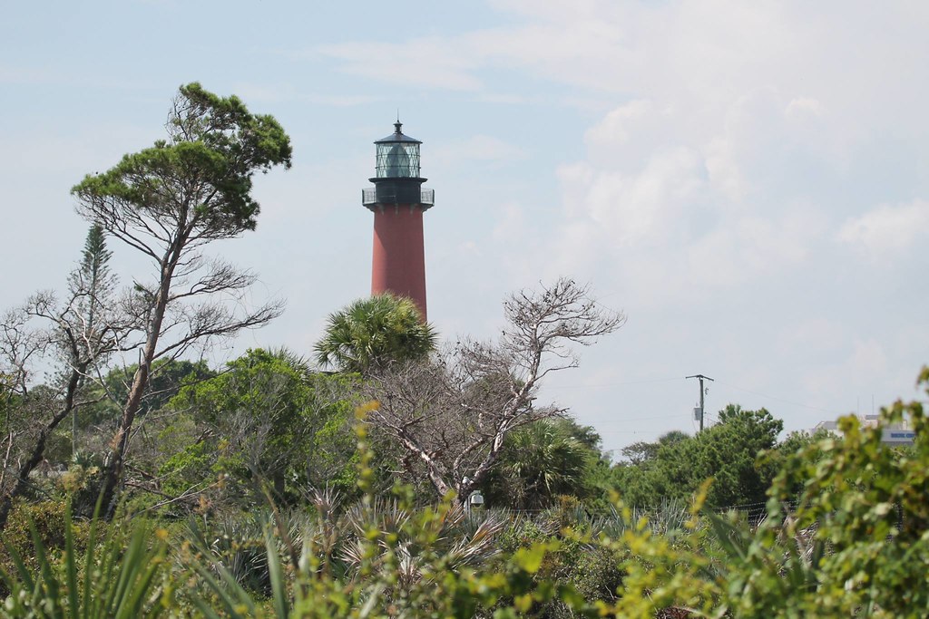 BLM Completes Invasive Plant Removal Project The Southeast… Flickr
