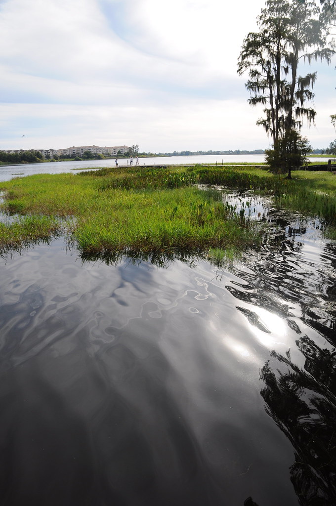 On Turkey Lake Turkey Lake Park Orlando, FL 10.15.11 Chall… Flickr