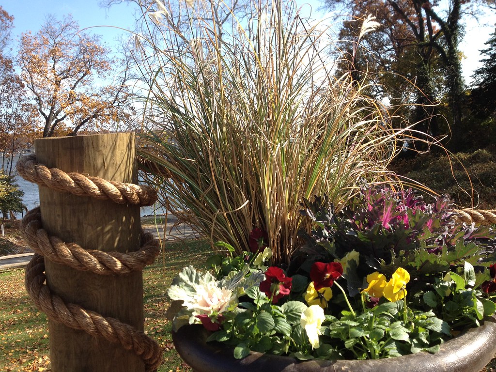 New platers and new 1 1/2 rope Riva Cottage Flickr