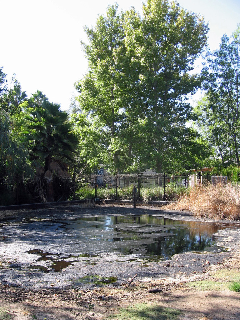 Tar pit lake View of the tar pit lake on the grounds of th… Flickr