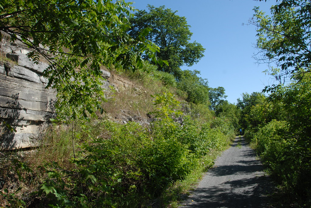 DSD_6794 Cataraqui Trail near Harrowsmith, ON View northea… Flickr