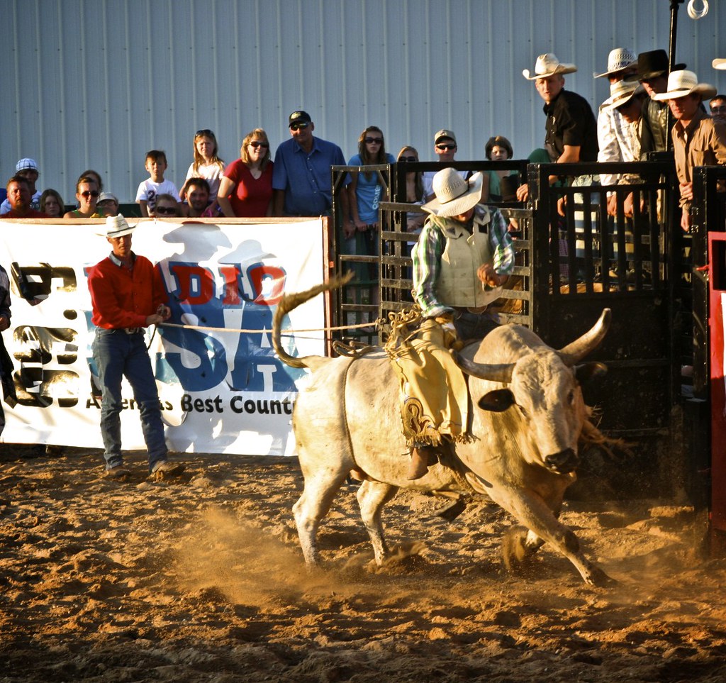 Bull Riding St. Louis County Fair Chisholm, Minnesota Kelly