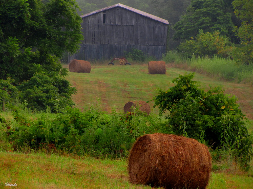 Rural Kentucky Farm Our nieghbors place..taken on an early… Flickr