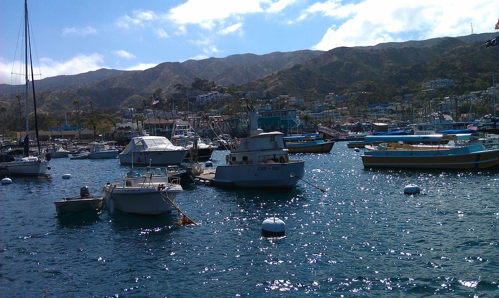 IMAG0140 View of Avalon Harbor from our mooring 210 MyTitleGuyPaul