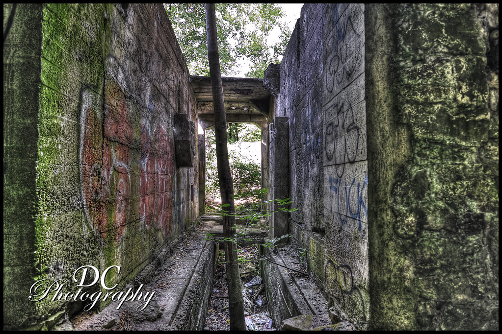 Crooks Hollow 5 David