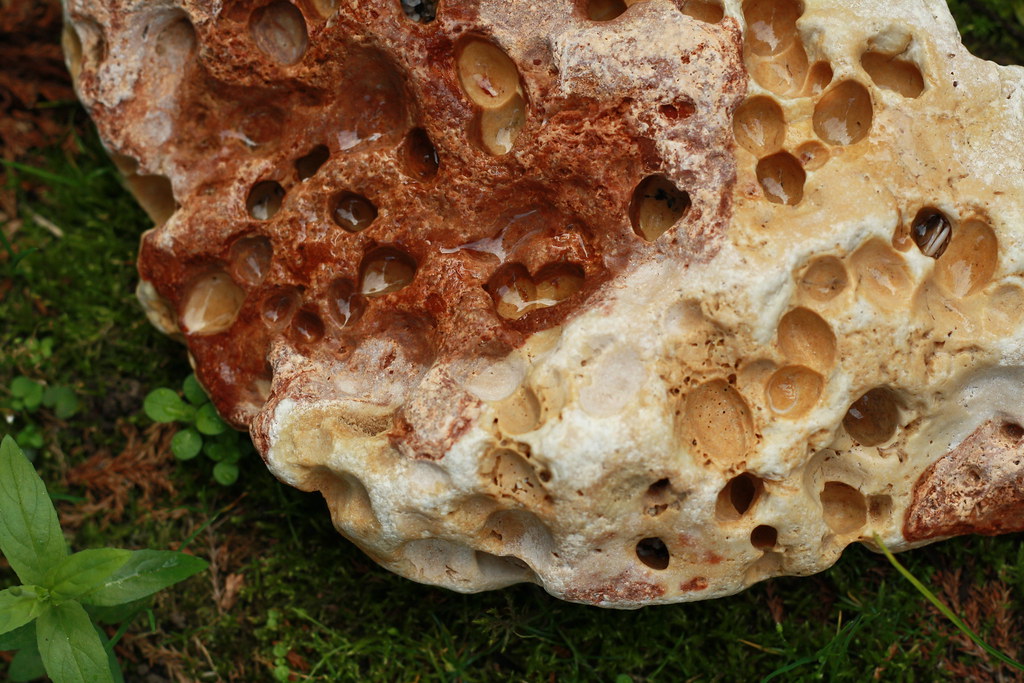 limestone Alabaster Autumn Flickr