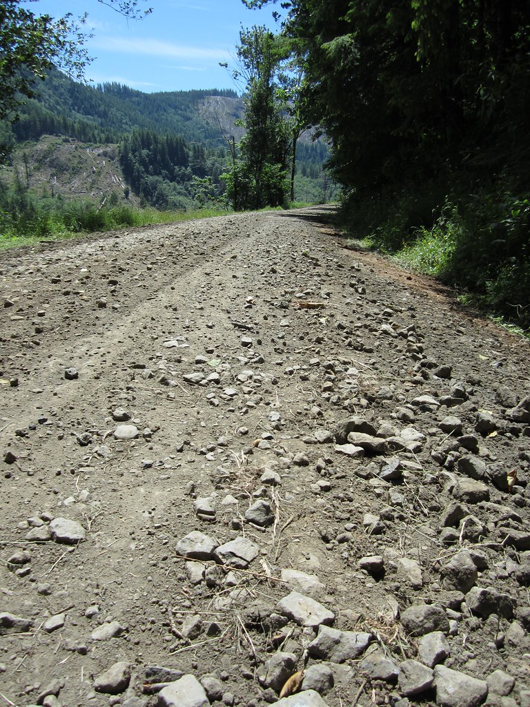 IMG_0237 This section of the Trask Road was most unpleasan… Flickr