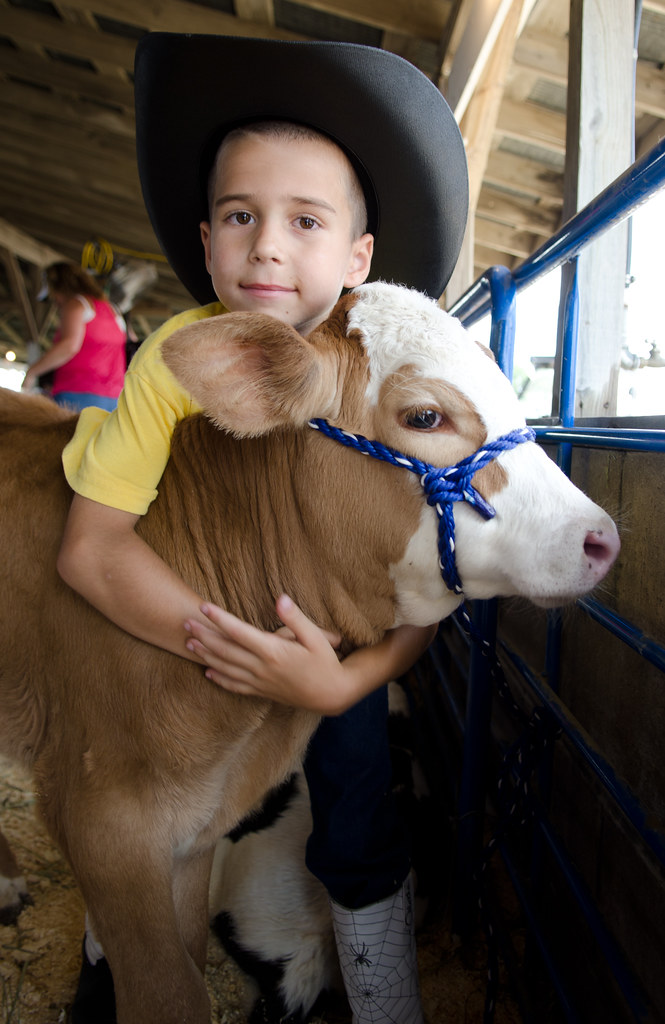 Franklin County Fair Joseph L. Murphy Flickr