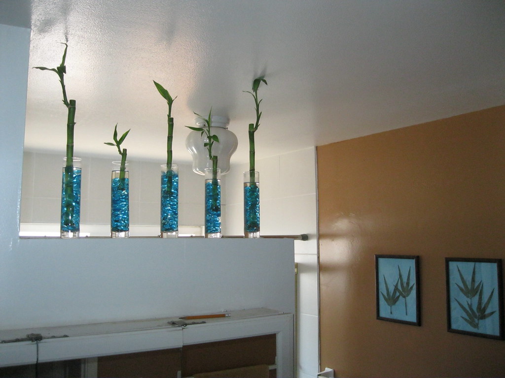 Bamboo Plants Guest bathroom DeebieGeebies Flickr