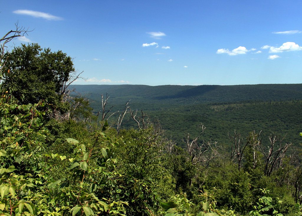 Tuscarora State Forest Hemlock Road Perry County, PA 07/31… Flickr