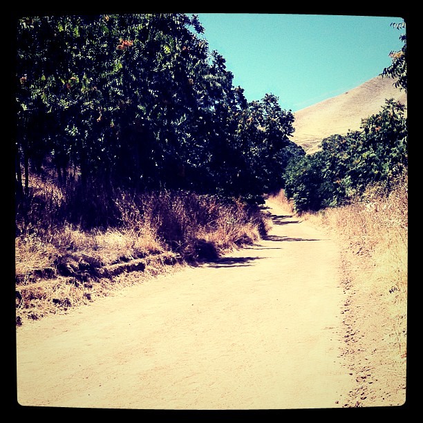 Up the Nortonville trail Gwen Smith Flickr