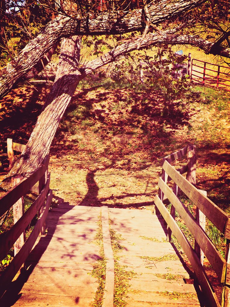 Hickory Nut Gap Farm Fairview NC ♥ Like it?! Come visit … Flickr