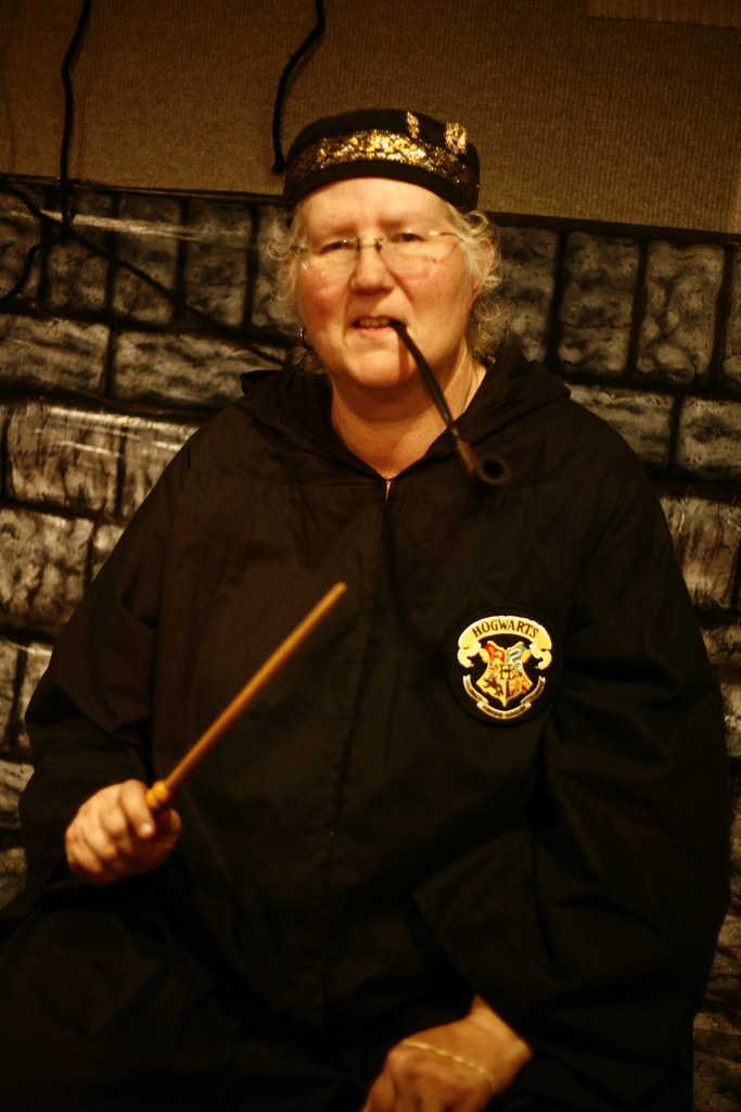 Professor GrubblyPlank, Wizarding Career Day Main