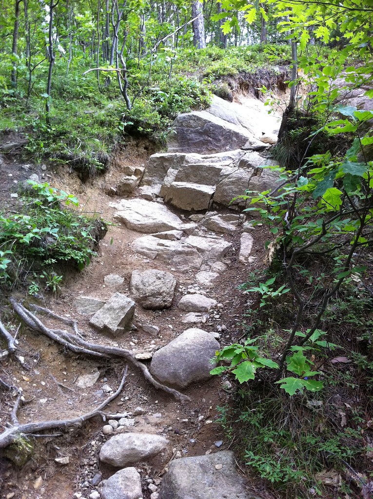 Adirondack wood Hiking Owl's Head, Keene Valley 2011 shermanjill