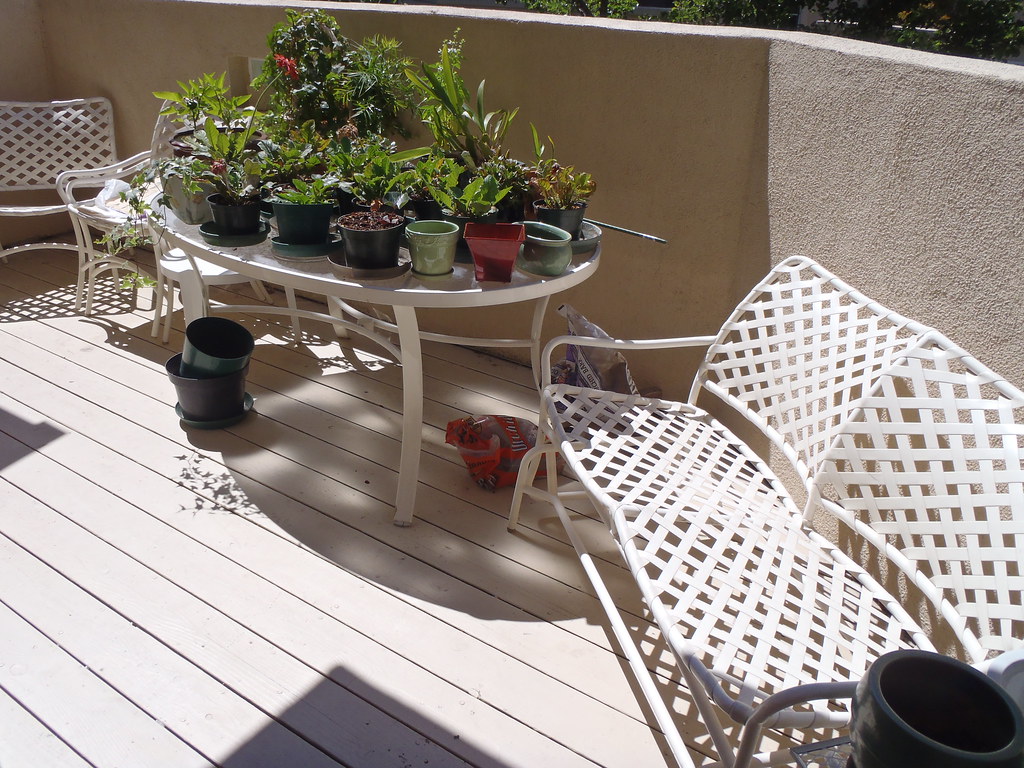 P8040094 Le Papillon Estate LS Flickr