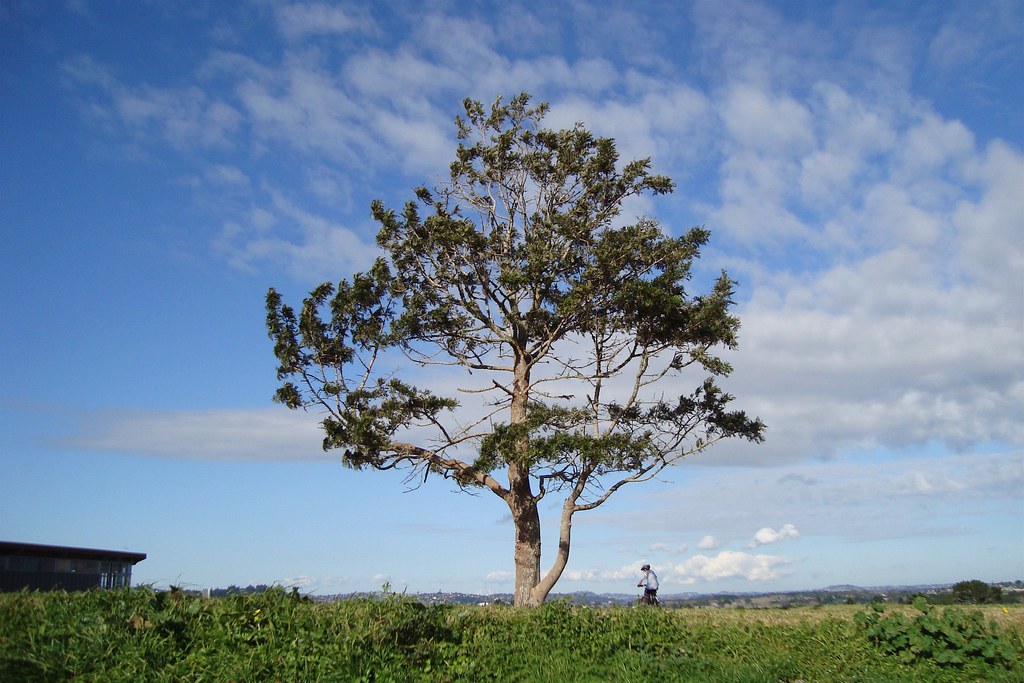 Sanders Reserve Summit On a beautiful midwinter's day. Flickr