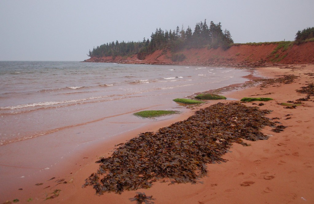 PEI 201107200 Sheep Pond at dusk Shane MacClure Flickr