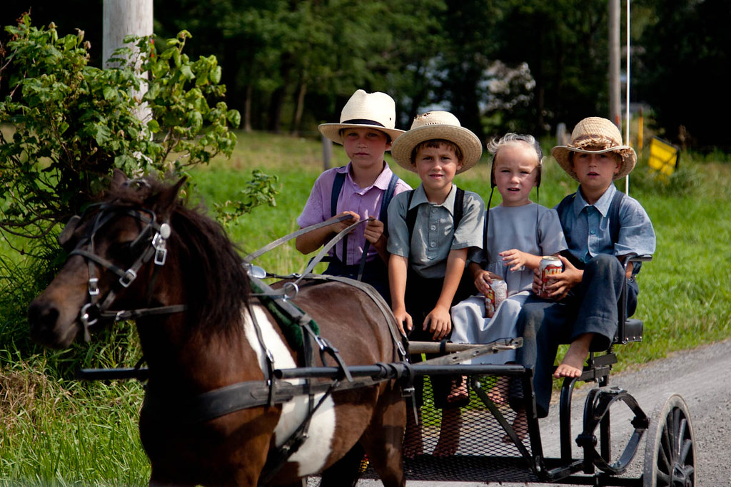 Amish Flickr