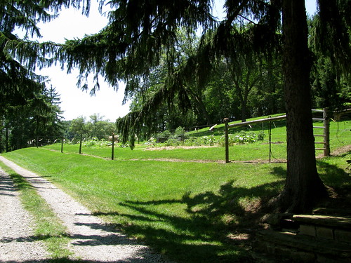 For Sale: Table Rock Farm Weelunk