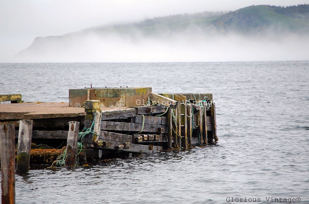 Cape Broyle FOG_2 Cape Broyle along the coast of the Avalo… Flickr