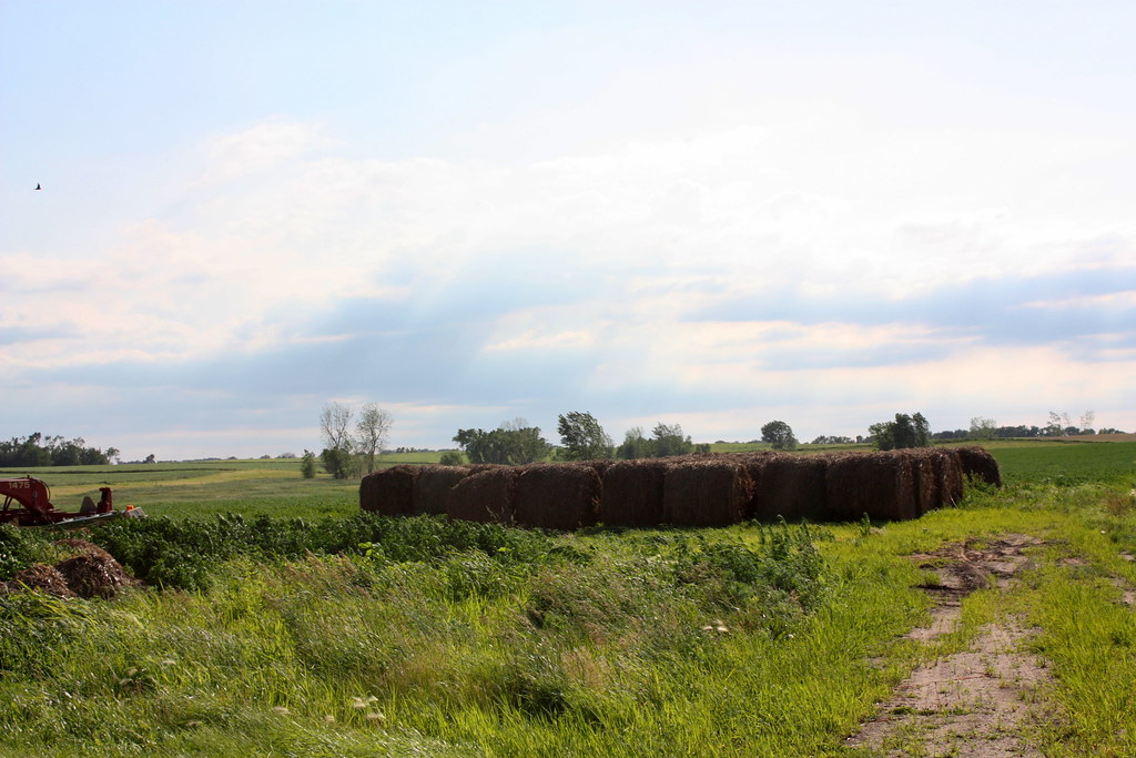 Elevation of Mission Hill, SD, USA Topographic Map Altitude Map