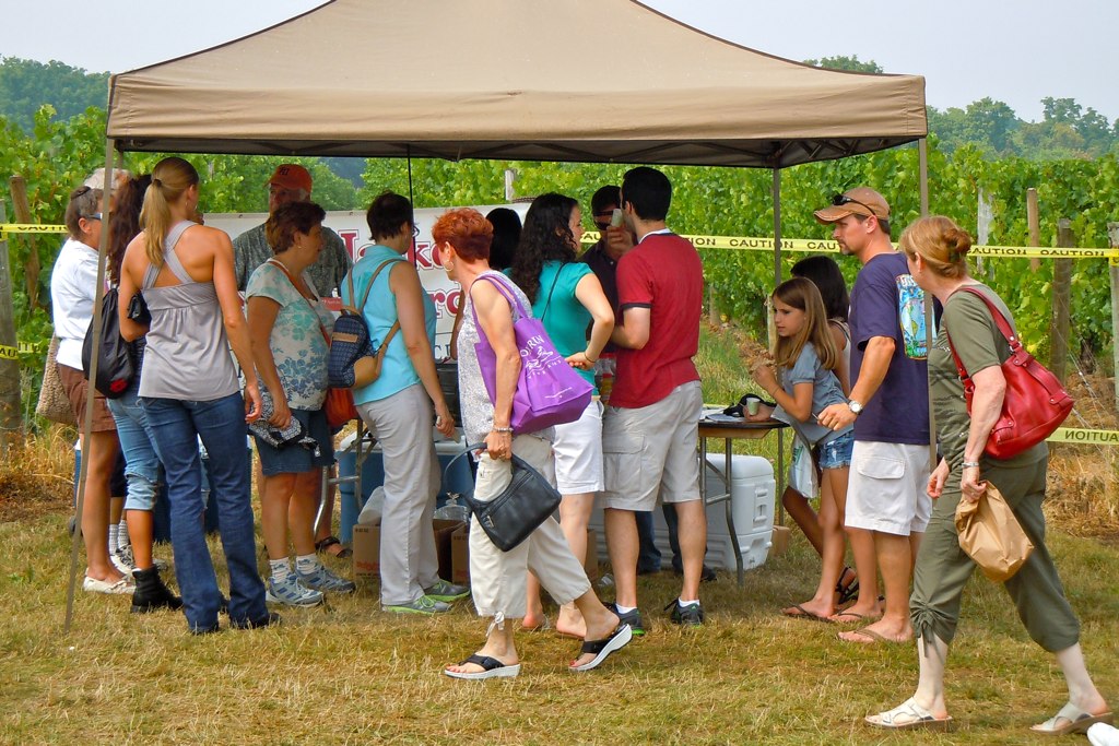 More Samples Garlic Festival at Fox Run Winery ironmike9 Flickr