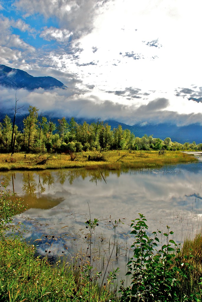 Columbia River near Spillimacheen Mark Flickr