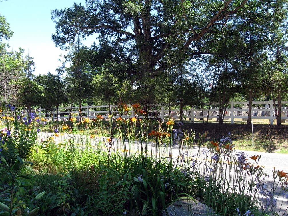 Country Road Bolton Landing, New York lilac lover Flickr