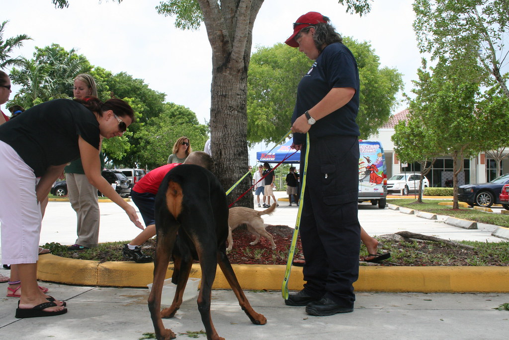 Ed Morse Sawgrass Auto Mall American Humane Society 006 Flickr