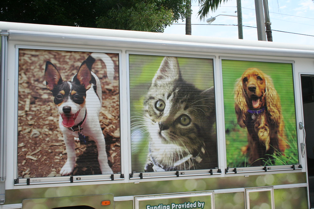 Ed Morse Sawgrass Auto Mall American Humane Society 057 Flickr