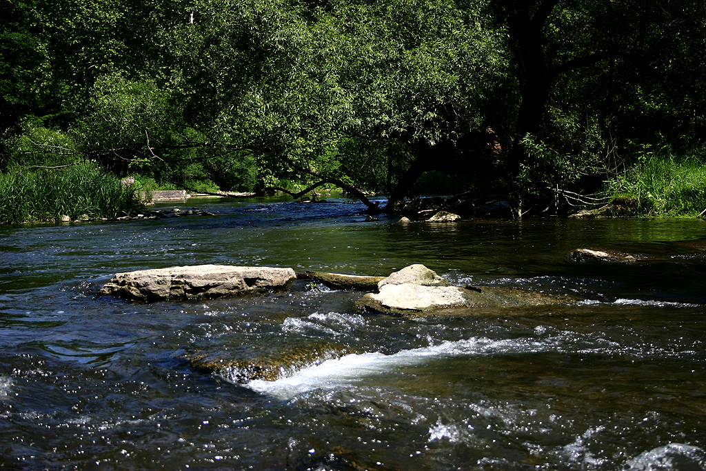 Spring Creek, Fisherman's Paradise, PA. Carolyn Todd Flickr