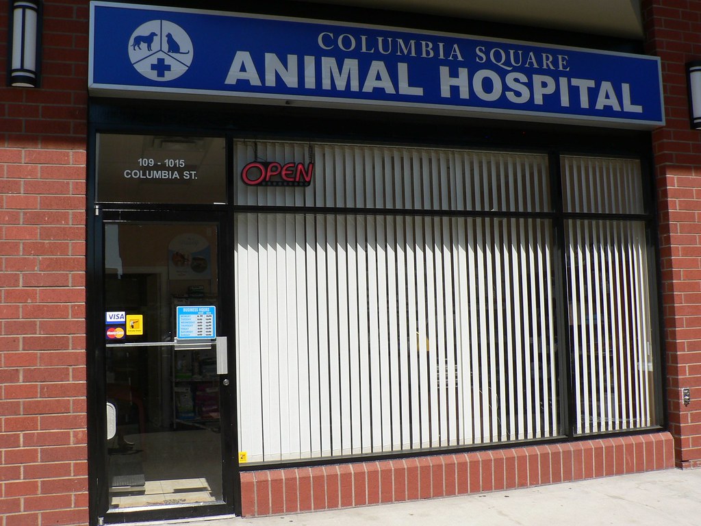 Animal Hospital Outside view of our animal hospital in New… Flickr