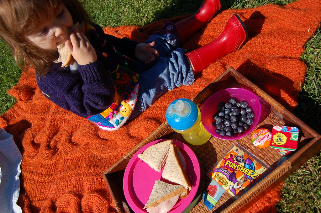 Picnic Lunch This is the second day in a row we've had a p… Flickr