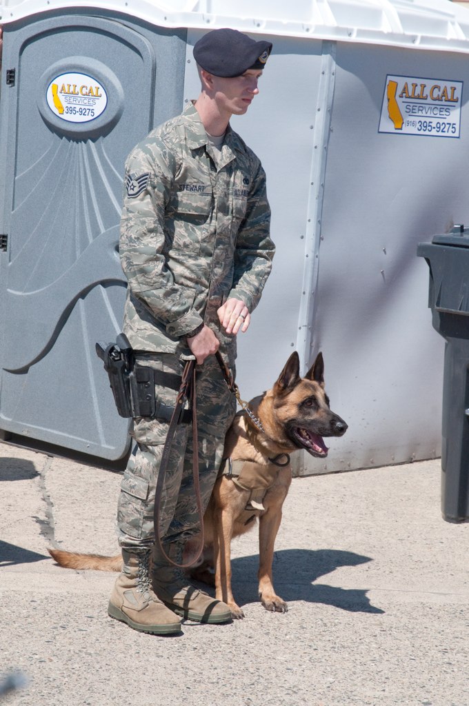 Air Force K9 Excited A United States Air Force canine demo… Brian