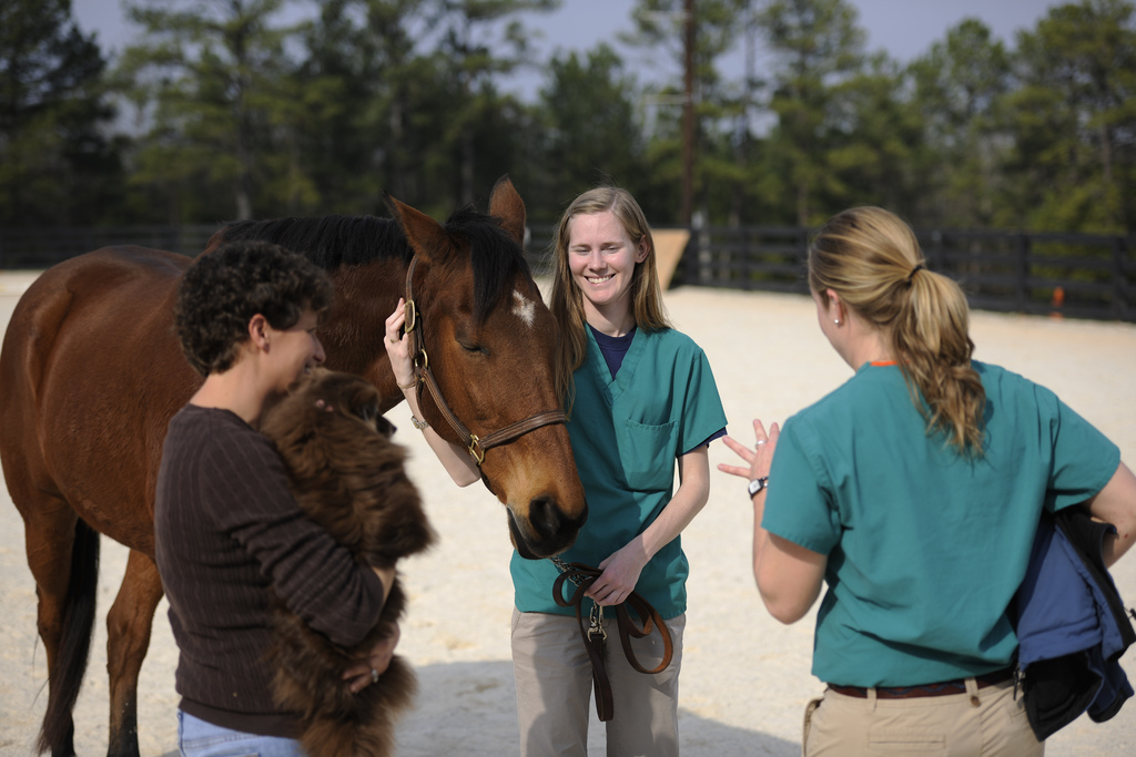 Therapeutic Equine Program Dr Fred Caldwell, Auburn Veteri… Flickr