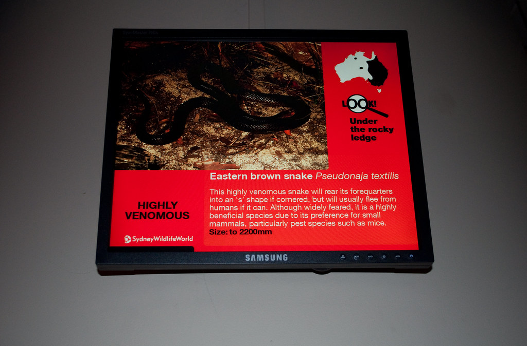 Eastern brown snake Information marker for the Eastern bro… Flickr