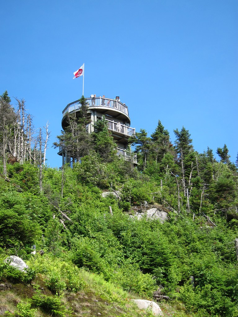 Lookout tower J. Hendron Flickr
